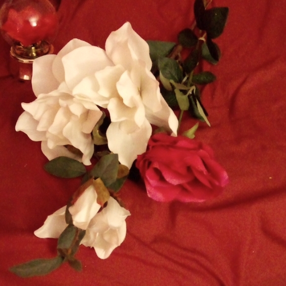 (2 for $20) Rose Collection, Full Lot. - Picture 13 of 14